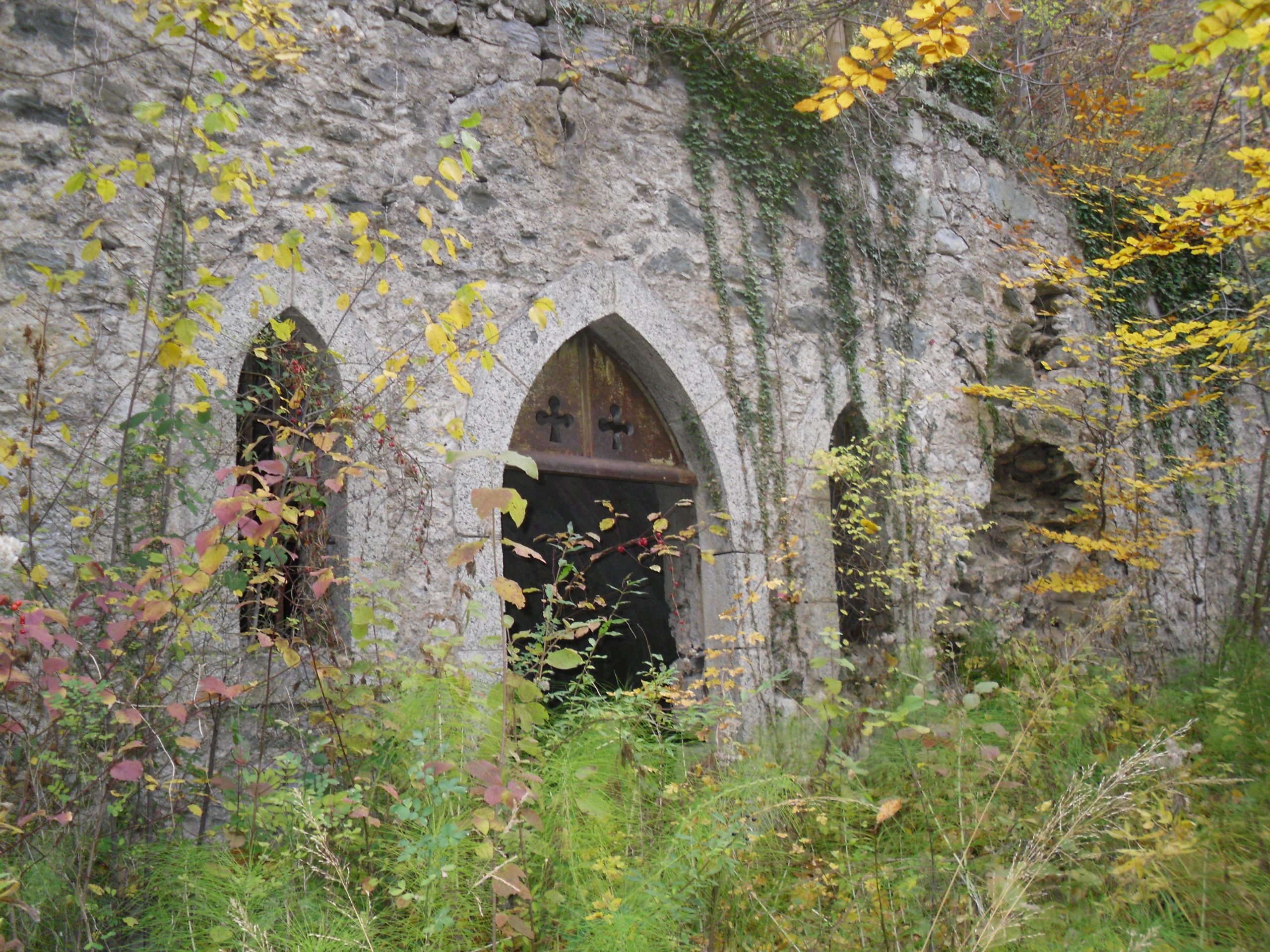 Entrée de caves abandonnées dans la végétation, illustration pour un guide urbex responsable